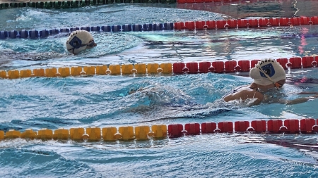 Zawody pływackie w Gdańsku